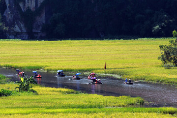 Take a scenic boat ride in Tam Coc with rice fields on both sides winding around the mountains for close-up