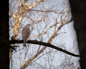 Photos around Helsinki