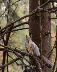 Photos around Helsinki