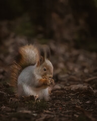 Photos around Helsinki