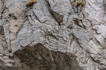  Mt Wilson Red Box Rd. San Gabriel Mountains, Los Angeles County, California. Quartz Diorite / Gray quartz diorite / Plutonic rocks. complexly intruded by dikes, sills and pods of leucogranitic rocks 