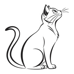 Fototapeta premium black cat isolated on white