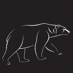 Obraz premium silhouette of a polar bear