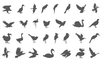 Bird icon collection 