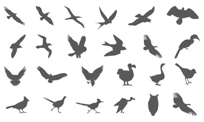 Bird icon collection 