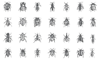 Bugs icon collection