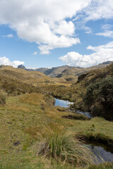 landscape with lake and mountains