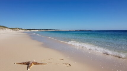 Starfish on Sandy Beach Under Clear Blue Sky and Gentle Waves