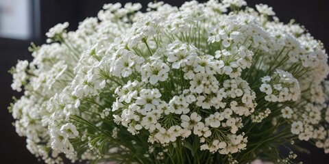 Floral arrangement of white gypsophila in a large monobouquet, rustic decoration, arrangement