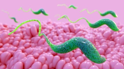 A 3D rendering depicting Campylobacter bacteria swimming inside the intestinal lumen