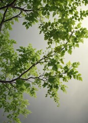 Obraz premium A beautiful tree branch with an assortment of green leaves and delicate vines, forest, nature