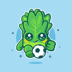 smiling lettuce vegetable character mascot playing football isolated cartoon