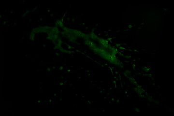 Beer, foam, waves, bubbles, texture, texture, spray, graphics, patterns, textures, design elements