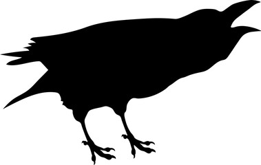 Bird Raven Crow Black Silhouette for Icon.