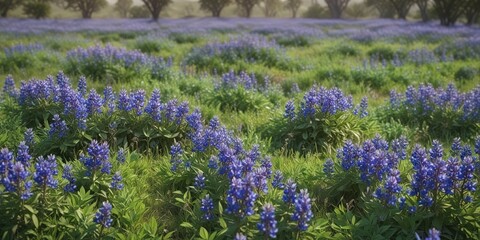 Bluebonnet Field With Vibrant Purple