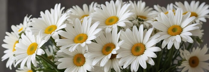 Fototapeta premium Freshly picked bouquet of white daisies with large petals, spring, fresh