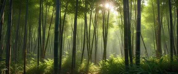 A beautiful bamboo thicket with sunlight filtering through the dense foliage , serenity, vegetation