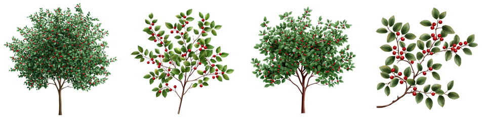 Flourishing Trees and Lush Greenery in a Natural Landscape