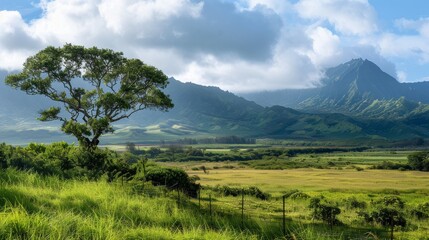 Naklejka premium Hawaiian volcanic landscape 