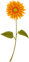 sunflower vector