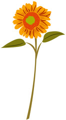 sunflower vector