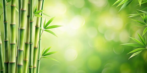 Serene Bamboo Grove Lush Green Stalks and Vibrant Foliage Against a Soft, Bokeh Background