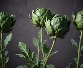 Fototapeta premium Long green artichoke leaves stretching from a stem, outdoor, foliage