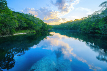 Fototapeta premium Blue sunrise reflections on glassy water surrounded by lush greenery nature landscape tranquil environment