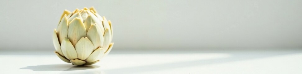 Obraz premium Single artichoke on a plain white surface with reflected light, light, reflect,