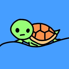 turtle swimming in water