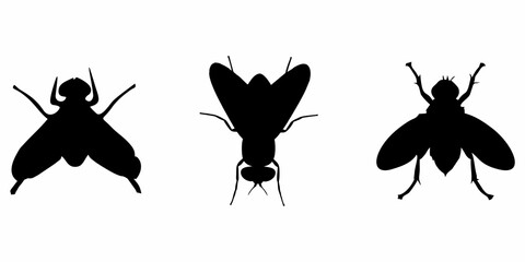 BLACK SILHOUETTE OF A BLACK HOUSEFLY