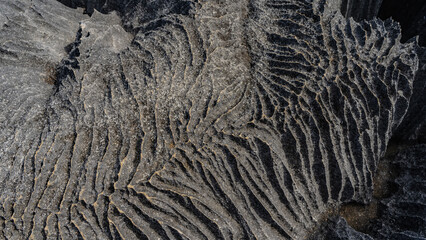 The surface of the karst rock is indented with furrows and convolutions. Close-up. The texture. Top view. Madagascar. Tsingy De Bemaraha  