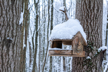 bird feeder winter snow