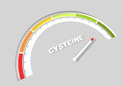 Cysteine level on measure scale. Instrument scale with arrow. Cys is a semiessential proteinogenic amino acid important for making protein (protein building block). 3D render