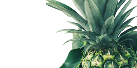 Close up of a vibrant pineapple