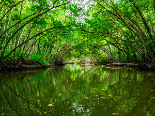 Baan Bang Pu, Pattani area is famous for its natural beauty of pristine mangrove forest and eco tourism.