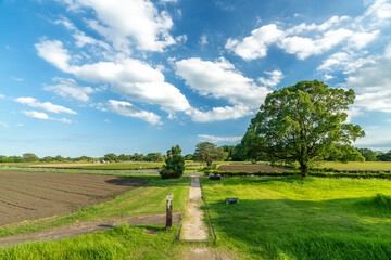 広がる青空と大地の息吹