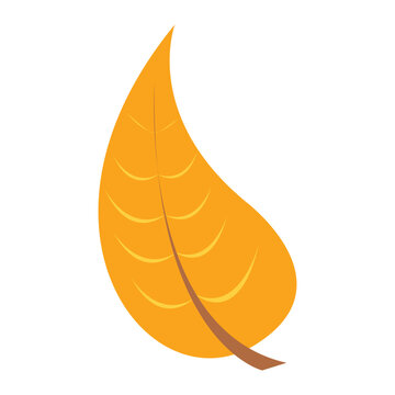 Fall Autumn Leaf Cliart