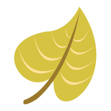 Fall Autumn Leaf Cliart
