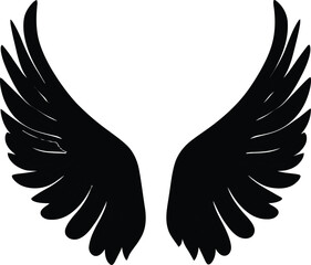 Obraz premium wings isolated on white