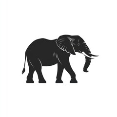 Fototapeta premium Silhouette of an African elephant walking. (1)