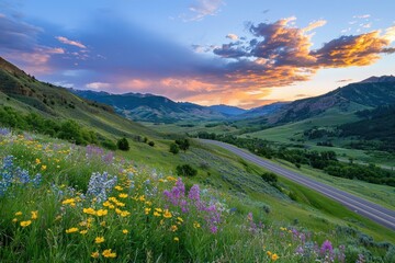 Fototapeta premium Scenic drive through rolling hills vibrant wildflowers and fiery sunset nature landscape serene environment captivating viewpoint