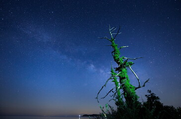 原始の光景を彷彿させる海岸と能登半島の天の川