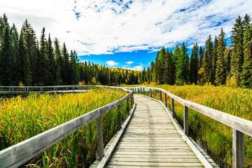 A wooden bridge over a pond with trees in the background