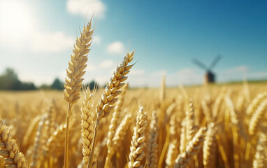 Fototapeta premium Golden wheat field swaying gently in breeze under clear blue sky, with windmill in background, creating serene rural landscape