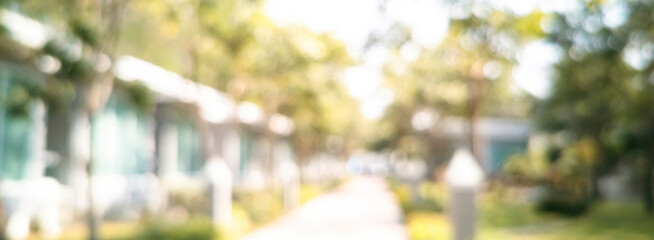 Banner Blur background green park garden nature bright sunny forest. Blurry outdoor park in spring time glowing shinny day template sunlight bokeh. Abstract blurred background banner with copy space