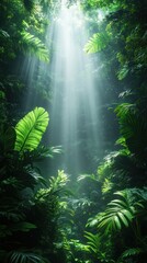 Sunbeams Piercing Through Lush Tropical Rainforest Canopy