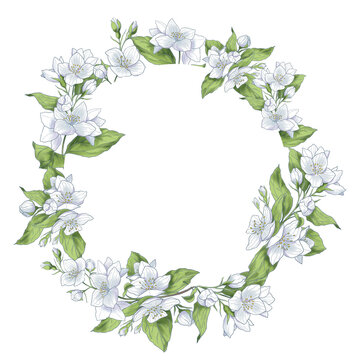 recommend clip art: Hand drawn circle banner with jasmine branches