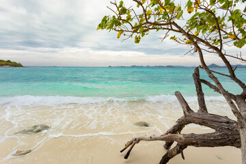 Koh Kham, Sattahip, an ecotourism destination, welcomes tourists who want to dive and see coral reefs and natural plants along the ecotourism route. In addition, there is a clean white sand beach.