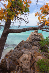 Koh Kham, Sattahip, an ecotourism destination, welcomes tourists who want to dive and see coral reefs and natural plants along the ecotourism route. In addition, there is a clean white sand beach.
